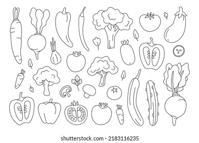 Set of contour vegetables. Fresh organic products isolated on white background. Monochrome icons: tomato, pepper, cucumber, beet, garlic, broccoli, carrot, eggplant, mushroom. Vector illustration.