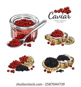 Set of contour watercolor illustrations of black and red caviar in jars, sandwiches and tartlets. Hand-drawn seafood. Delicacy snack. Isolated vector poster with space for text.