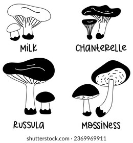 Set of contoured edible mushrooms with names. Vector illustrations of edible mushrooms of the autumn forest, russula, mossiness, milk, chanterelle,. The forest contrasts with mushrooms. Black outline