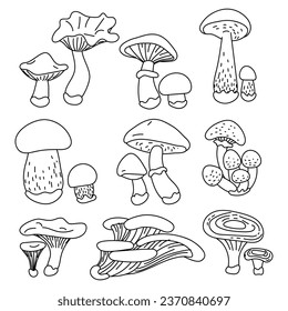 Set of contoured edible mushrooms with names. Vector illustrations of edible mushrooms of the autumn forest. Doodle illustrations in black, outline, sketch on white. Flat illustration for coloring