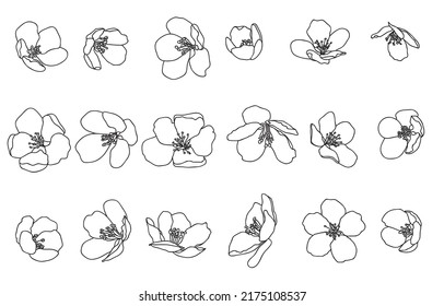 conjunto de contornos flores de manzano