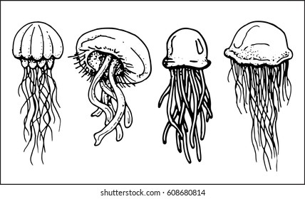 set of contours of jellyfishes