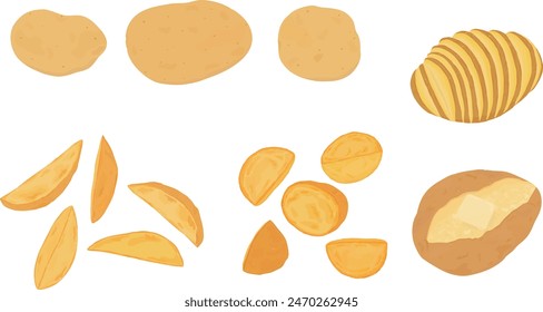 Set of cooked potatoes. Hand drawn vector illustration. French fries, roasted potato, baked potato, hasselback potato.