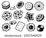 Set of cookies hand drawn doodle. Snack crispy cookie. Dessert food. Confectionery sweets. Sugar pastry. Bakery product. Oatmeal, sandwich, cracker. With filling. Vector outline line art illustration.