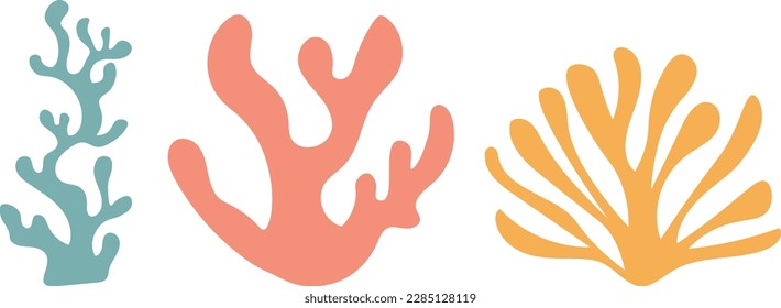 Establecer ilustración vectorial de algas de coral