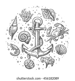 Set coral, crab, shrimp, sea shell and anchor. Vector engraving vintage illustrations. Isolated on white background.