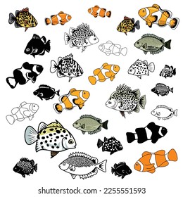 set of coral fish vector collection. aquarium set. coral reef fishes. clown fish, scat fish, nemo, black and white, seafood, ocean, group of fish. vector illustration.