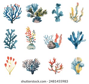 Conjunto de Imágenes de coral dibujado en acuarela sobre un fondo blanco.Ilustración vectorial de mar.