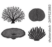 A set of coral, including brain coral and mushroom coral. These elements are isolated on a white background and are perfect for any design project. The coral is black.
