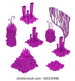A set of coral isolated on white background. Vector illustration.