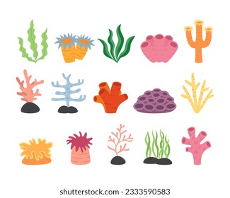 Set of coral reef hand drawn illustration