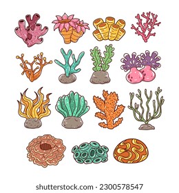 Set of coral reef hand-drawn illustration