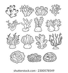 Set of coral reef hand-drawn outline sketch illustration