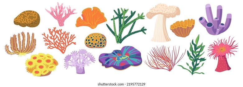 Set of Coral Reef Or Seaweeds Underwater Plants. Aquarium, Ocean And Undersea Water Life Vegetation. Isolated Marine Corals Or Sea Weeds And Wracks, Laminaria, Kelp Cartoon Vector Illustration, Icons