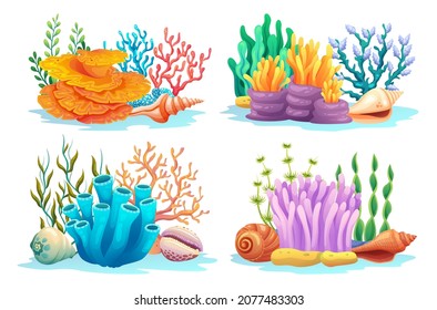 Set of coral reefs with algae, seaweed and seashells in various types cartoon illustration