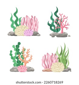 Set of coral reefs with algae, seaweed and rocks in various types cartoon illustration