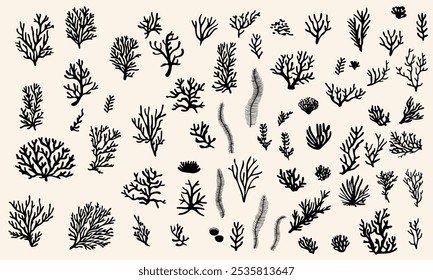 Set of coral reefs and seaweed of different shapes. Vector illustration. Silhouettes on white background.
