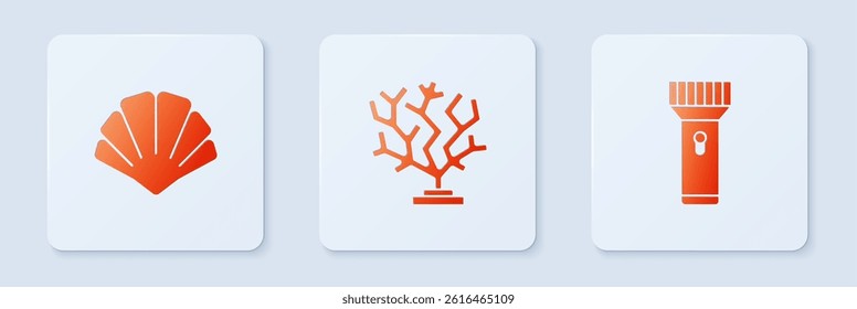 Set Coral, Scallop sea shell and Flashlight. White square button. Vector