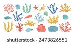 Set of coral and seaweed. Hand drawn aquarium plants, underwater ocean flora, seashell, algae, starfish. Vector marine plants and animals of the seabed. Flat cartoon illustration.