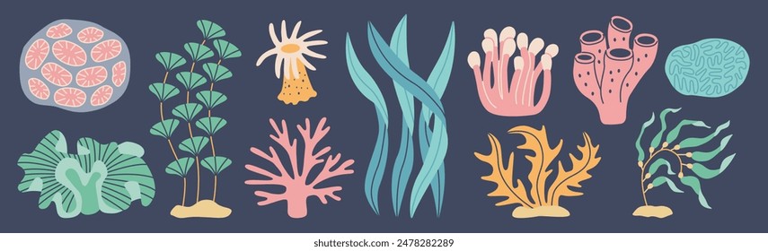 Set of coral and seaweed. Hand drawn aquarium plants, underwater ocean flora, algae. Vector marine plants and animals of the seabed. Flat cartoon illustration.