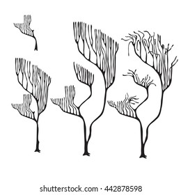 A set of coral silhouettes isolated on white background. Vector illustration.
