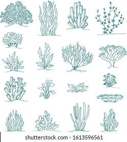 set of coral and underwater plants ink drawings on white