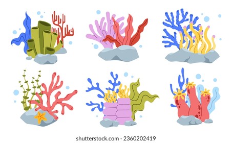 Set of corals concept. Blue and red plants near stones. Nature, ecology and wildlife. Sea and ocean flora. Poster or banner. Cartoon flat vector collection isolated on white background