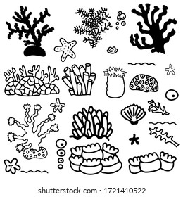 Set of corals of different sizes and shapes.