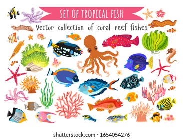 Set of corals fish and seaweed in flat style isolated on white background. Tropical collection of coral reef wildlife. Underwater animals svg