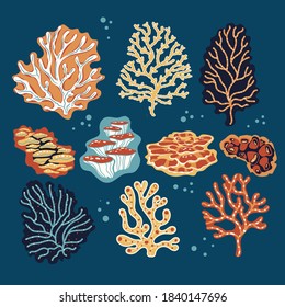 Set of corals and sea sponges  Vector Illustration
