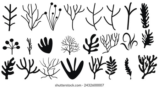 Set Korallen Seetang Silhouette Marine Pflanzenelemente isolierte Vektor dekorative Elemente isolierte Illustration auf weißem Hintergrund Icons und Stempel