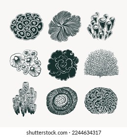 Set of corals Whip, Zoanthus, Fox coral, Tube sponge, Stony, Montipora, Brain, hand drawn in black ink. The texture of the brush and paint.