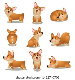 Set of corgi dog character in different daily situations
