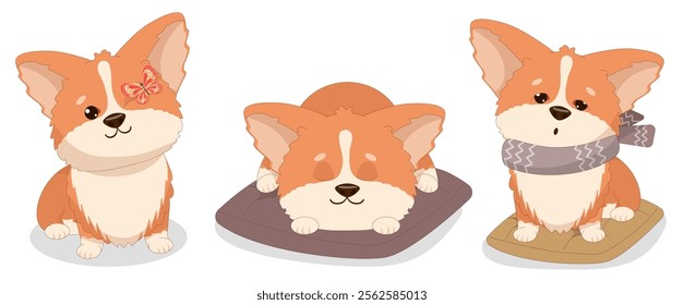 Set of corgi dogs in different poses, sleeping on a pillow, with a butterfly sitting on his eye, sick with a scarf on his throat. Vector illustration for a poster