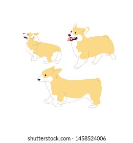 Set of corgi dogs. Isolated on white background. Flat style cartoon stock vector illustration.
