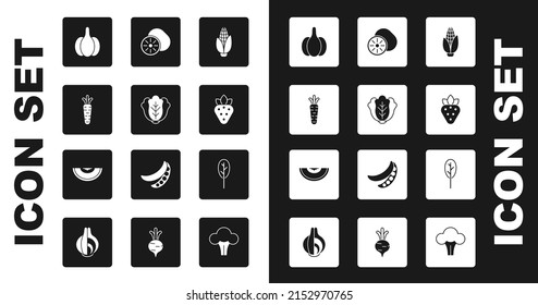 Set Corn, Cabbage, Carrot, Garlic, Strawberry, Kiwi fruit, Spinach and Melon icon. Vector
