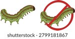 Set of Corn Earworm Helicoverpa zea Larvae Agricultural Crop Pest Vector Illustrations