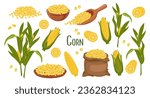 Set of corn grains and spikelets. Corn plant,  corn cobs, corn grains in a plate, spoon and bag. Agriculture, food icons, vector