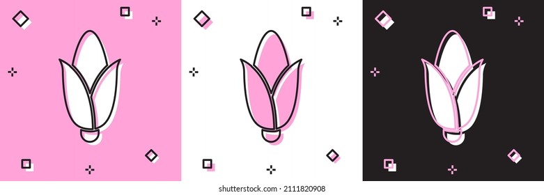 Set Corn icon isolated on pink and white, black background.  Vector