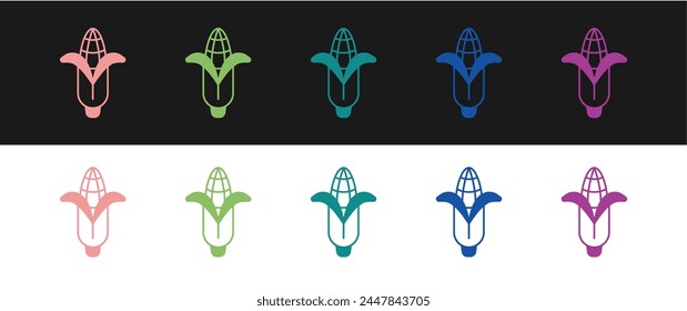 Set Corn icon isolated on black and white background.  Vector