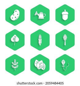 Set Corn, Leaf leaves, Kite, Honey dipper stick, Acorn and Potato icon. Vector