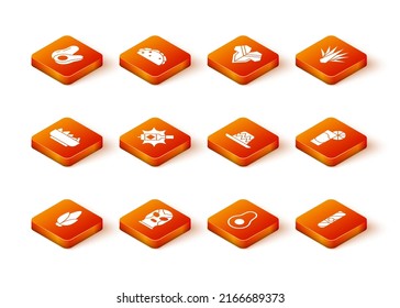Set Corn, Mexican wrestler, Nachos in bowl, Tabasco sauce, Avocado fruit, sombrero, Cigar and Tequila glass with lemon icon. Vector