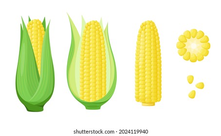 A set of corn on a white background. Cartoon design of vegetables.