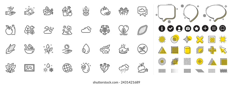 Conjunto de iconos de maíz, clima soleado y línea de inicio para la aplicación web. Elementos de diseño, iconos de redes sociales. Gota de agua, Manzana, Iconos sin gluten. Tiempo ventoso, Ensalada, señales de Co2. Vector