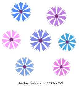 Set cornflowers (Centaurea cyanus), flowers, isolated vector illustration.