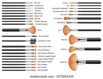Set of Cosmetic Brushes for Makeup. 32 brushes with names.