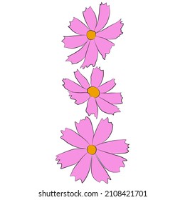 Conjunto de ilustraciones simples de vectores de ramas de flores de cosmos aisladas en fondo blanco. Versión coloreada dibujada a mano de esquema. Vector floral para ilustración infantil, diseño de verano.
