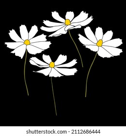 Set of cosmos flower branch vector simple illustration isolated on black background. Outline hand drawn colored version. Floral vector for childrens illustration, summer design.