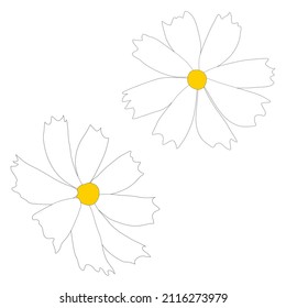 Satz von Kosmosflorenzweig, einfache Vektorgrafik einzeln auf weißem Hintergrund. Umfassende, handgezeichnete Version. Blumenvektor für Kindergrafik, Sommerdesign.