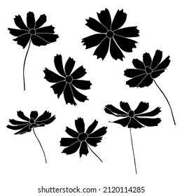 Satz von Kosmosflorenzweig, einfache Vektorgrafik einzeln auf weißem Hintergrund. Silhouette-Handversion.